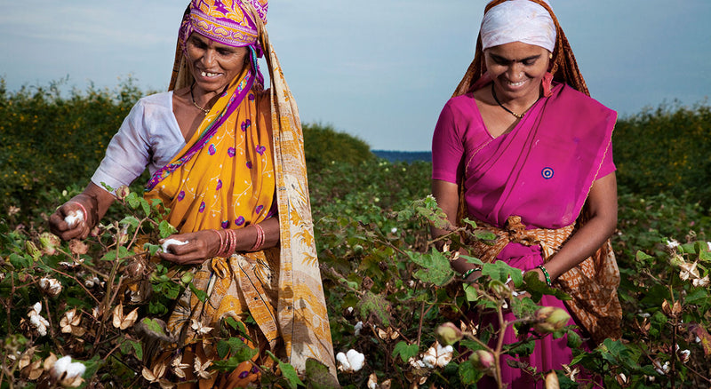 organic cotton farmers