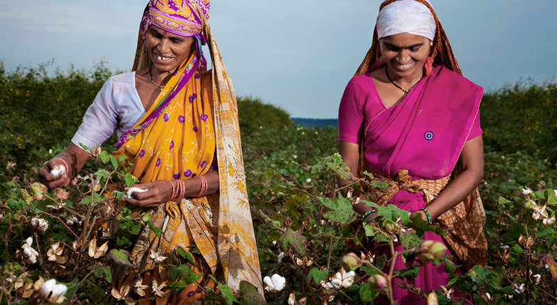 organic cotton farmers